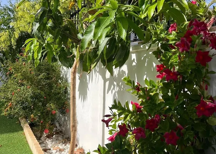 House With A Tropical Garden Costa Adeje (Tenerife)