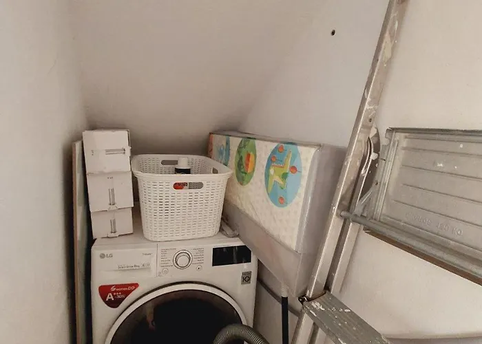 House With A Tropical Garden *