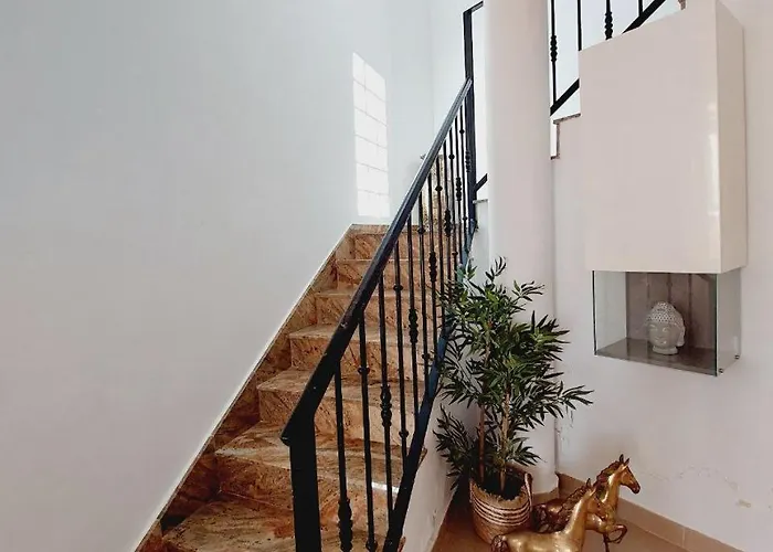 House With A Tropical Garden