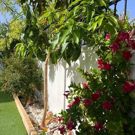 House With A Tropical Garden Costa Adeje