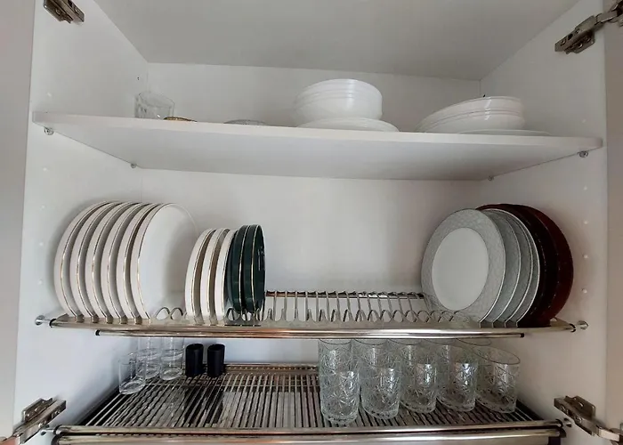 House With A Tropical Garden