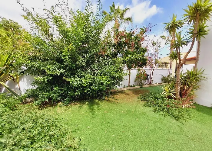 House With A Tropical Garden *